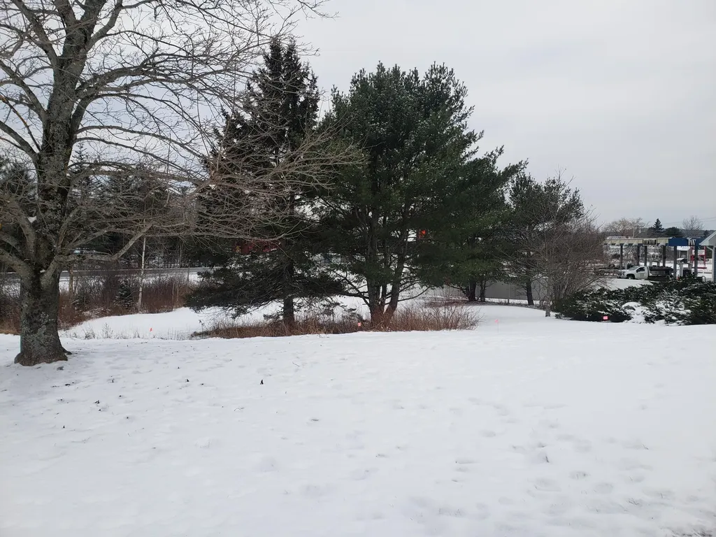 29 Duck Cove Road Orland ME 04472
