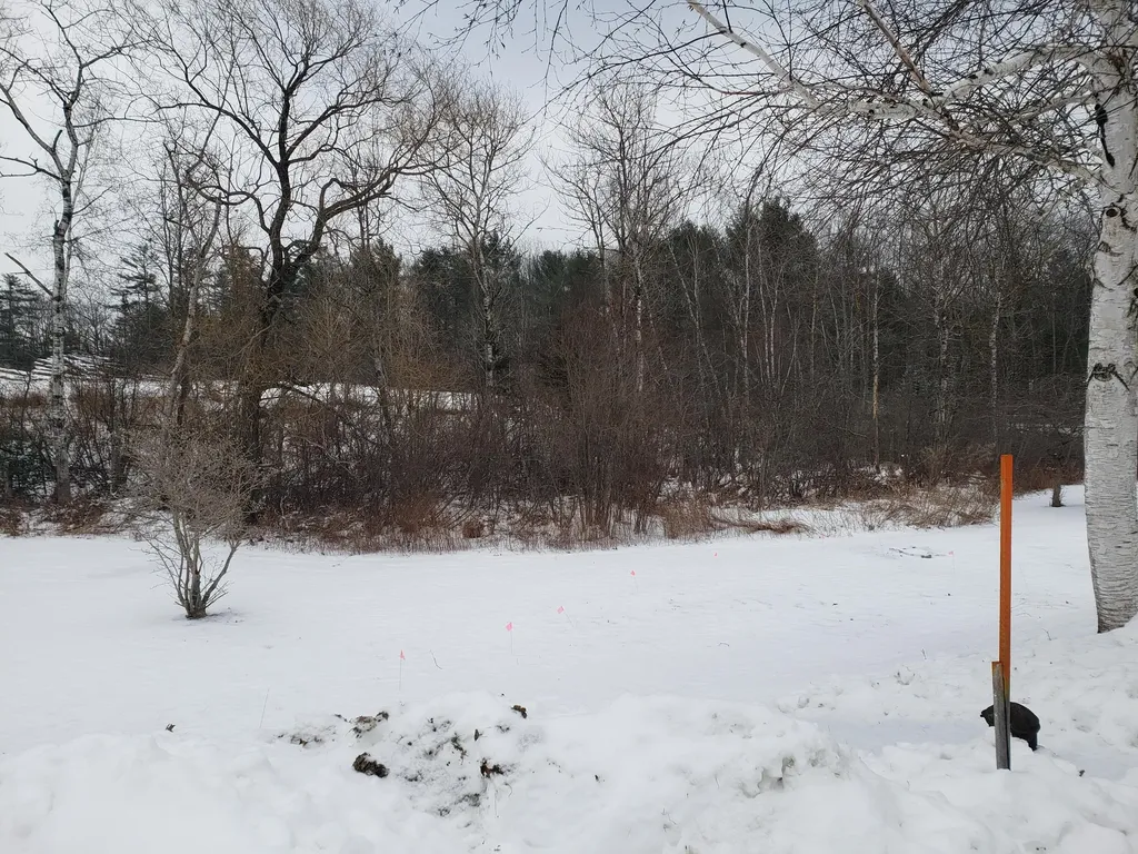 29 Duck Cove Road Orland ME 04472
