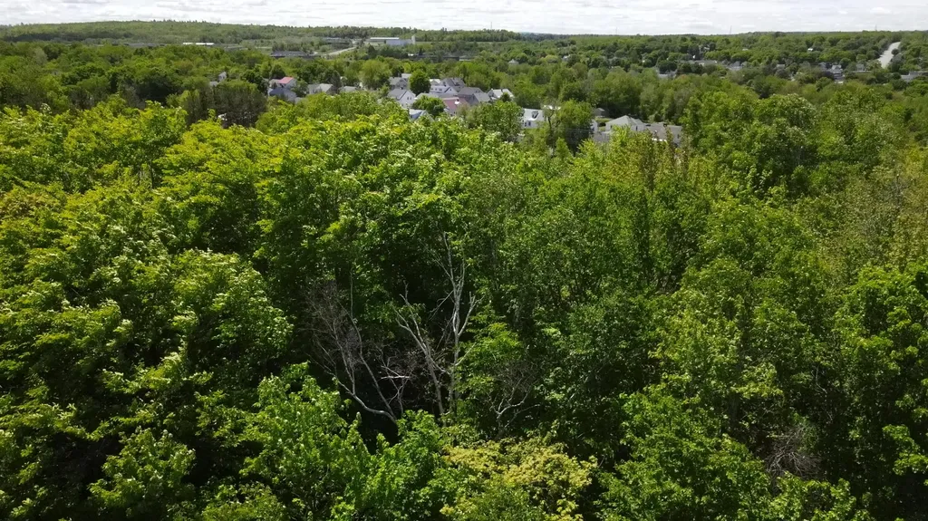 6 & 6a Forest Avenue Millinocket ME 04462
