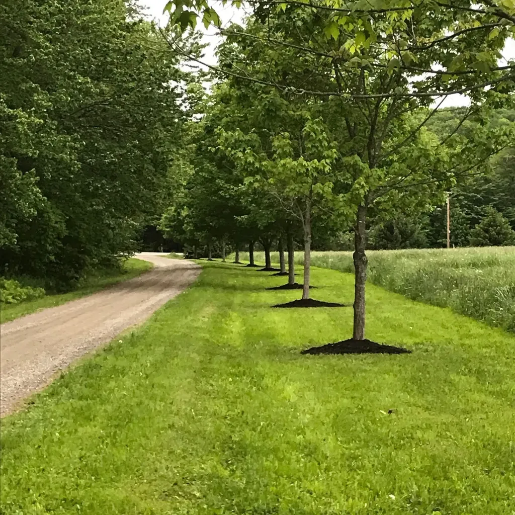 203 Route 133 Wilton ME 04294