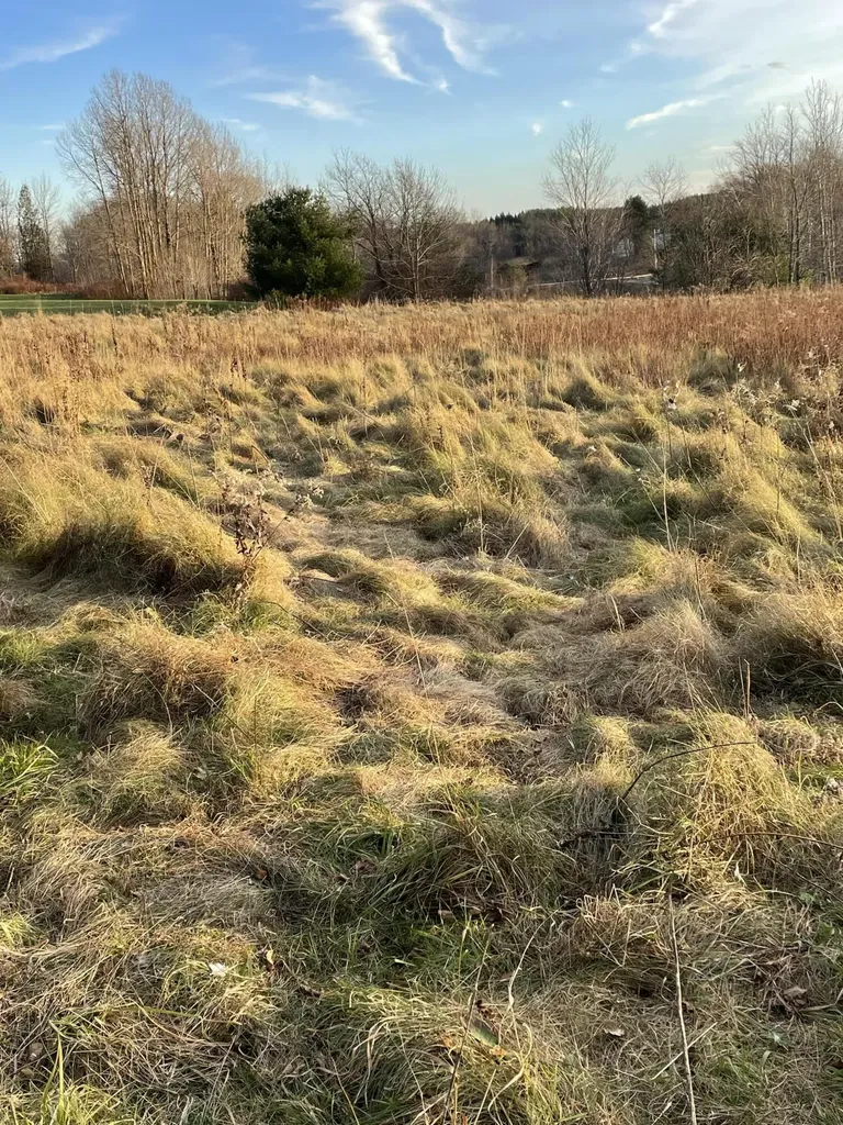 Lot 4 Ross Avenue Thomaston ME 04856