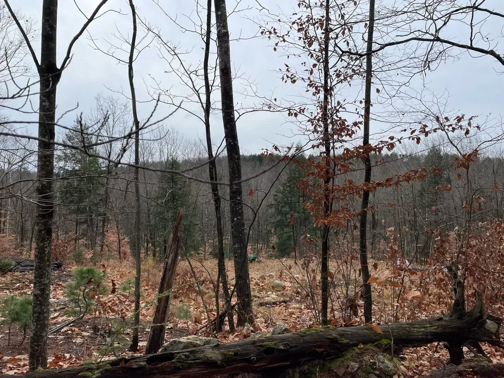 54 Littlefield Pond Road Limington ME 04049