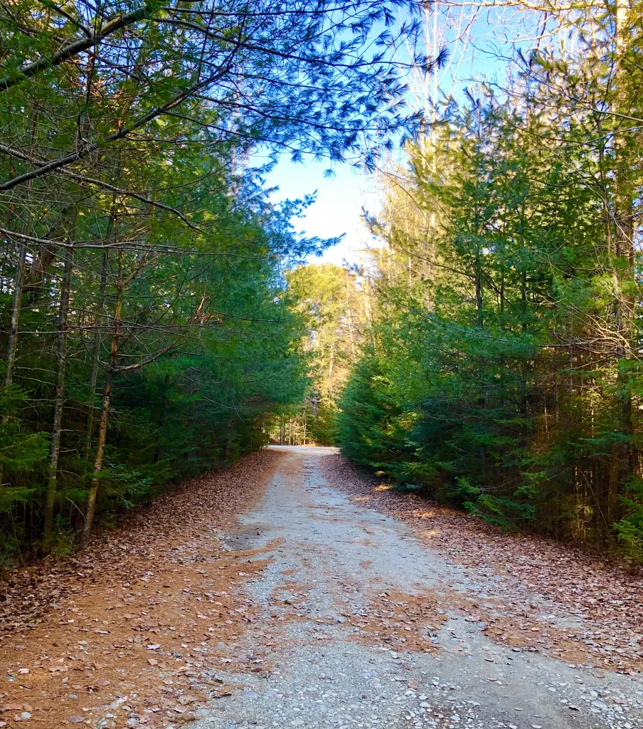 79 Mill Road Lamoine ME 04605