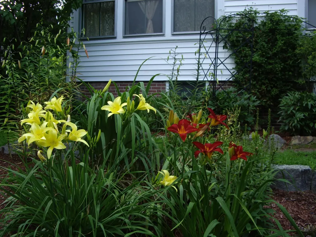 46 Maple Street Monmouth ME 04259