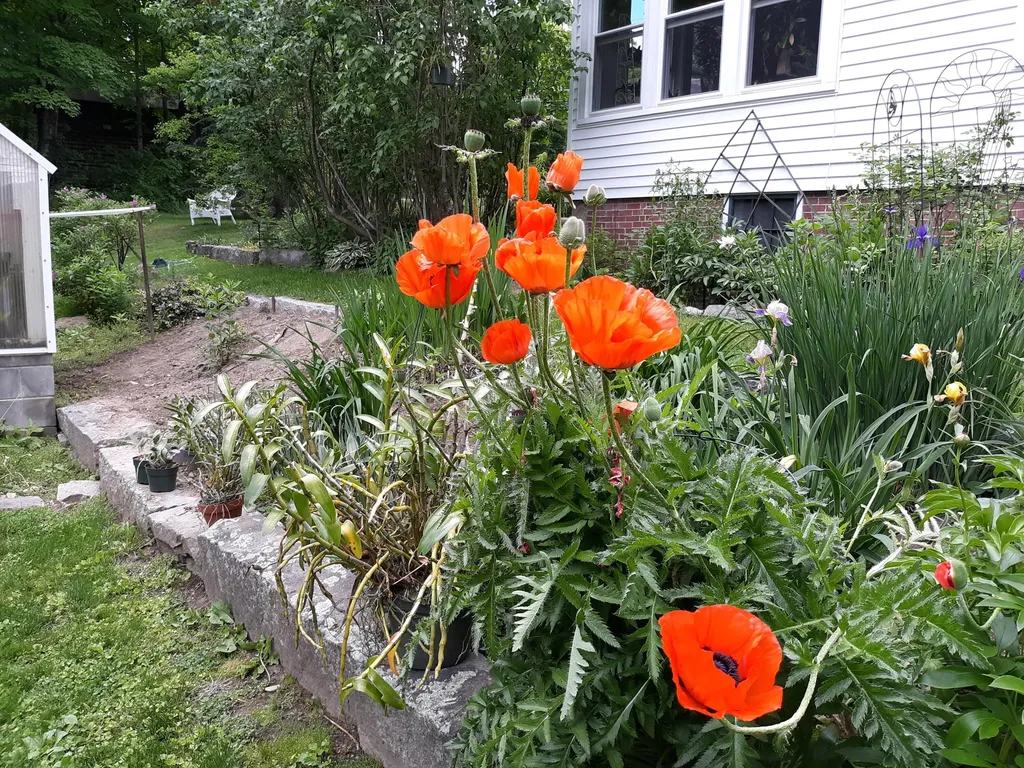 46 Maple Street Monmouth ME 04259