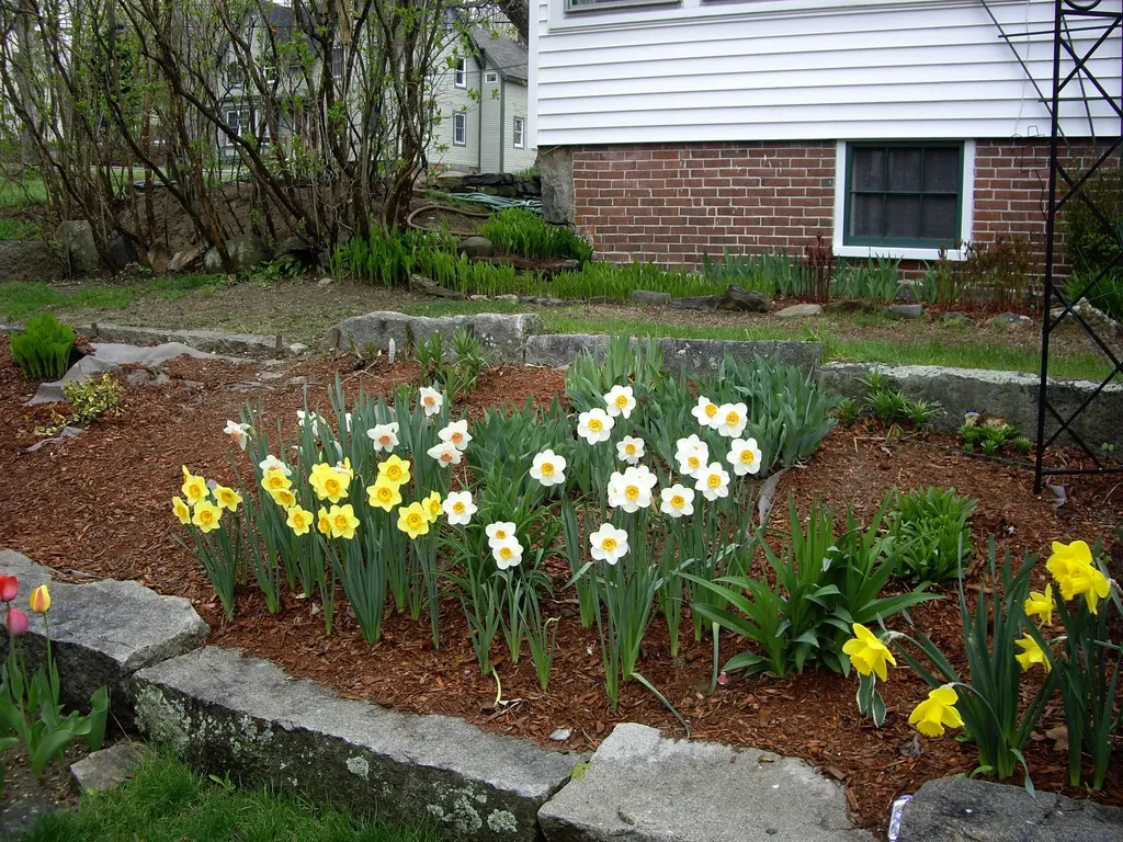 46 Maple Street Monmouth ME 04259