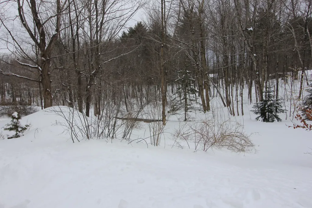 46 Maple Street Monmouth ME 04259