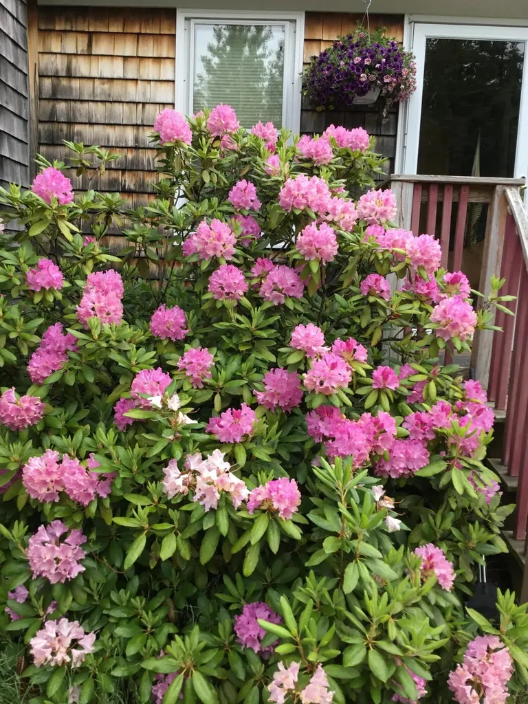 879 County Road Lubec ME 04652