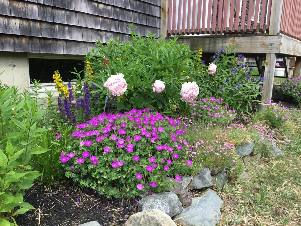 879 County Road Lubec ME 04652