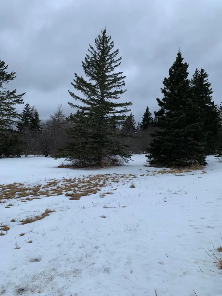 879 County Road Lubec ME 04652