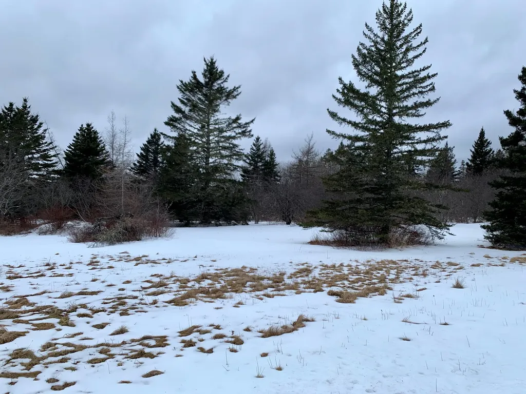 879 County Road Lubec ME 04652