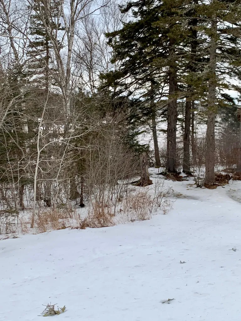 879 County Road Lubec ME 04652