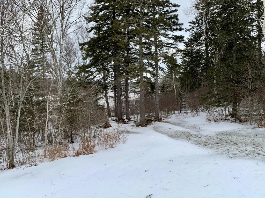 879 County Road Lubec ME 04652