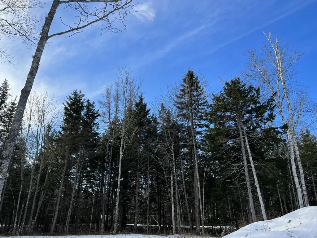 47 Farm Road Trenton ME 04605