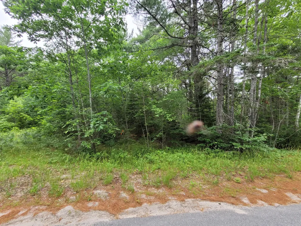 Lot 2 Goodwin Road Franklin ME 04634