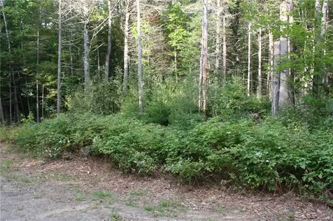 Lot B Kingfisher Hollow Warren ME 04864