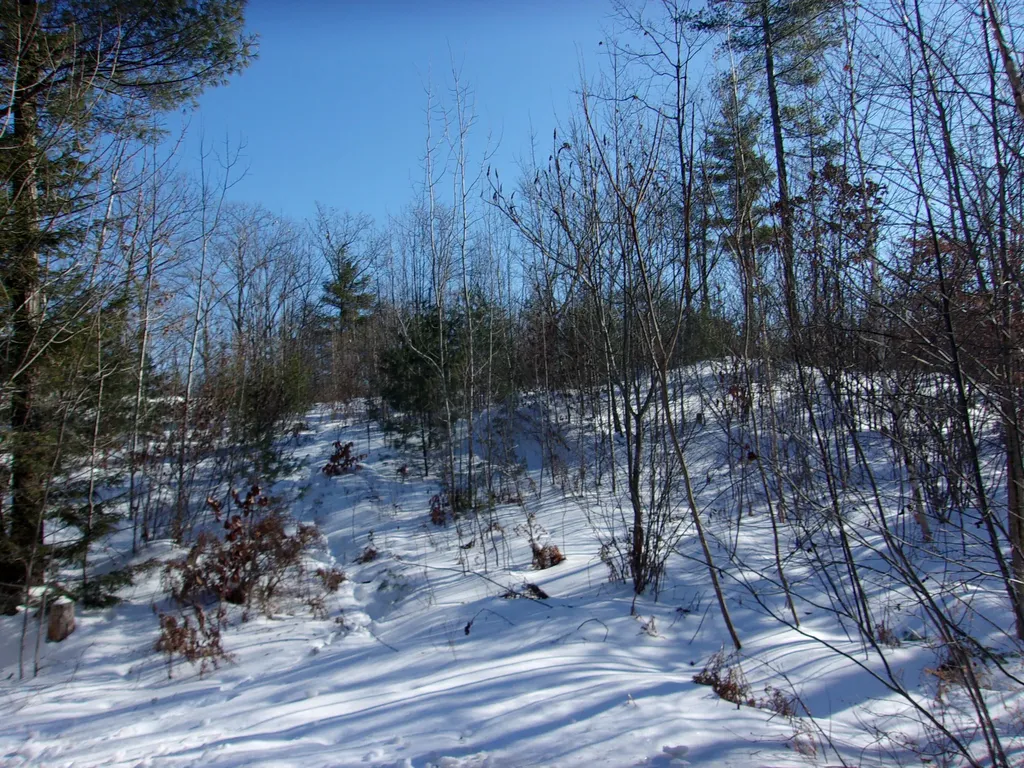 327 Little Wilson Pond Road Turner ME 04282