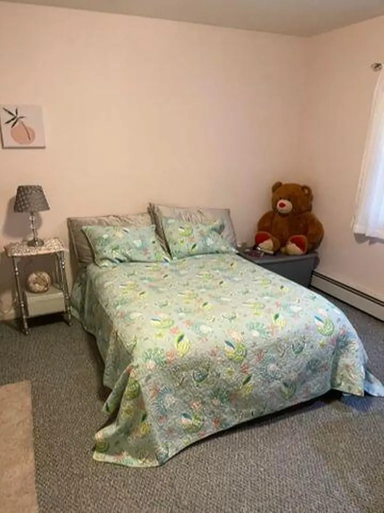 63 Dwelly Point Road Franklin ME 04634