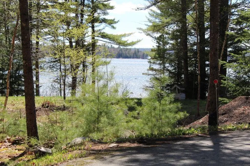 63 Dwelly Point Road Franklin ME 04634