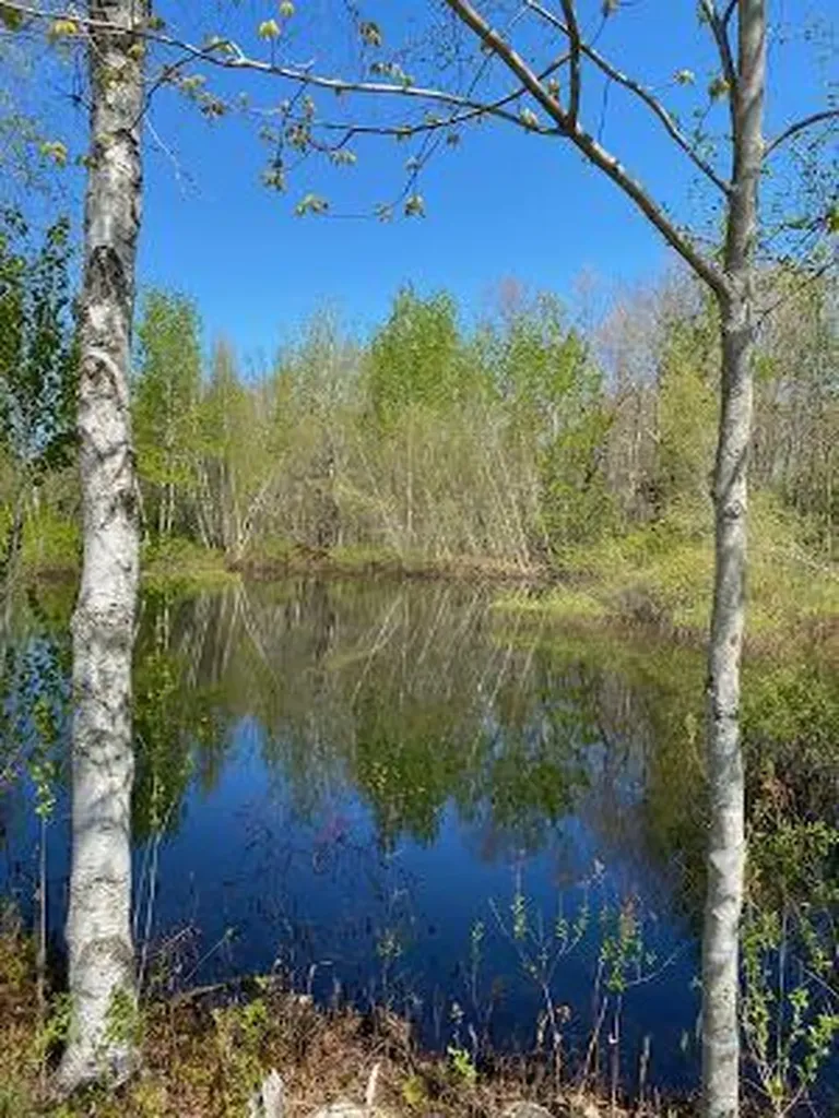 479 Bean Road Mount Vernon ME 04352