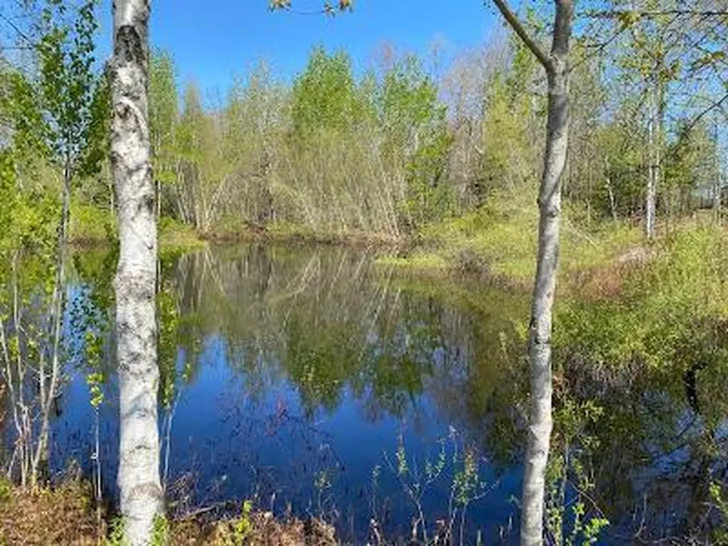 479 Bean Road Mount Vernon ME 04352