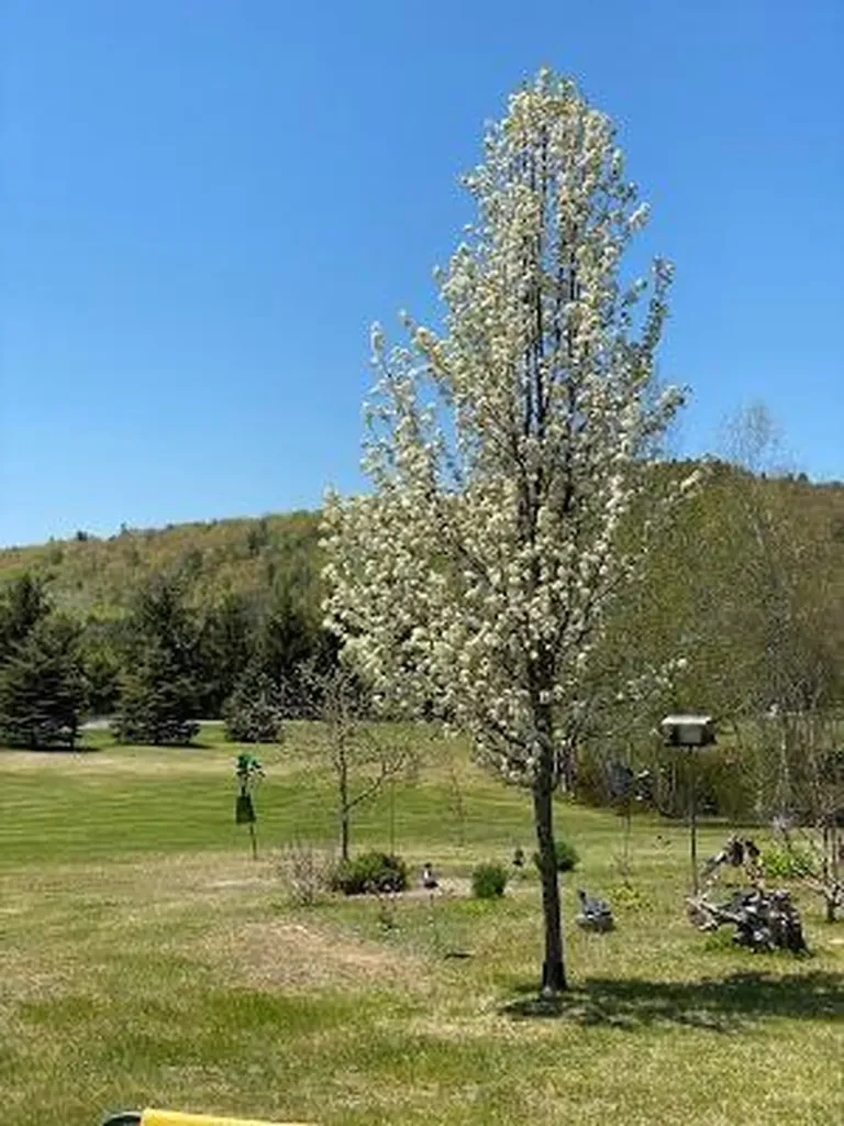 479 Bean Road Mount Vernon ME 04352