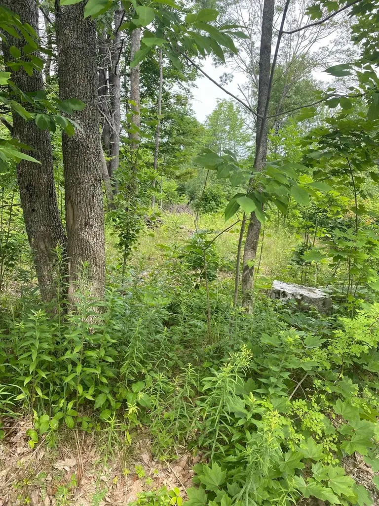 Lot 14 High Street Hallowell ME 04347