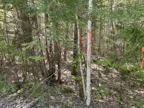 00 East Shore Road Lakeville ME 04487