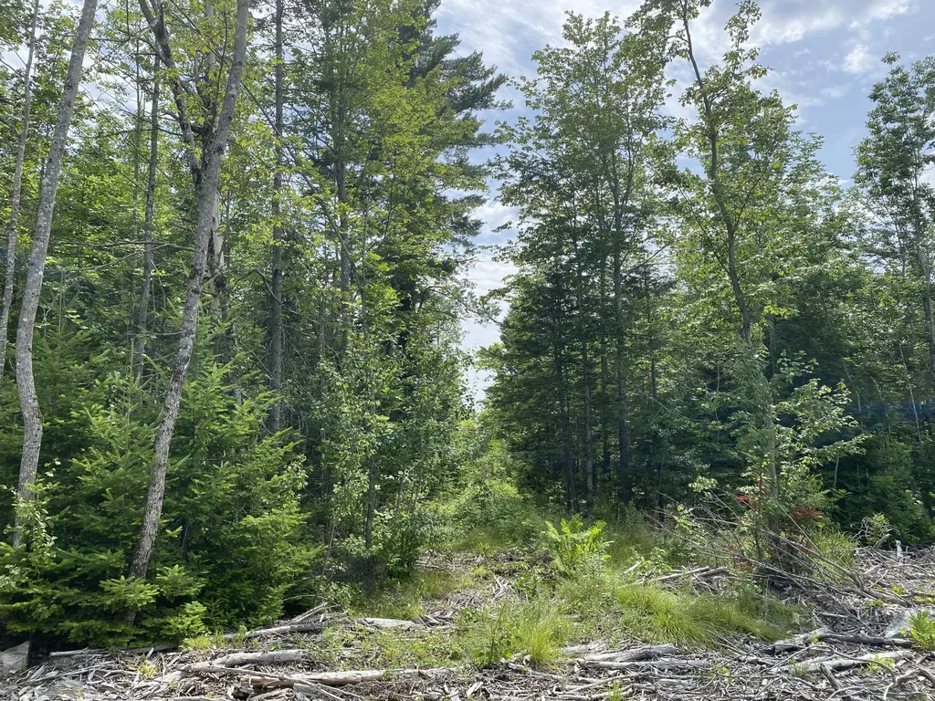1511 Otis Road Otis ME 04605