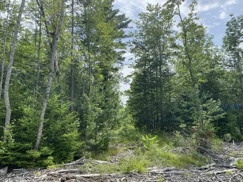1511 Otis Road Otis ME 04605