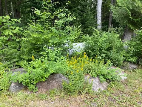 281 Watson Island Road Sandbar Tract Twp ME 04478