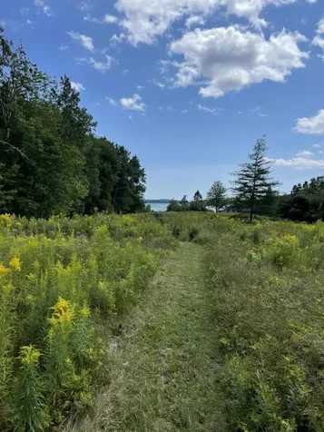 230 Oak Point Road Trenton ME 04605
