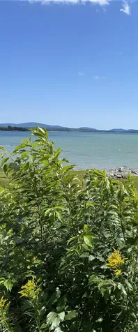 230 Oak Point Road Trenton ME 04605
