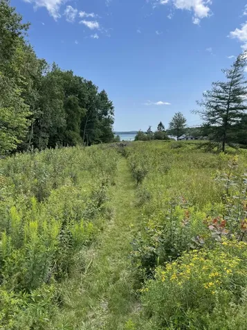 230 Oak Point Road Trenton ME 04605