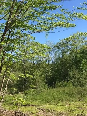 19 Bog Road Rockland ME 04841