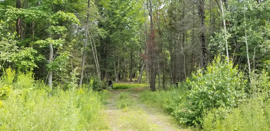 Lot 13 Meadow Brook Drive Belgrade ME 04917
