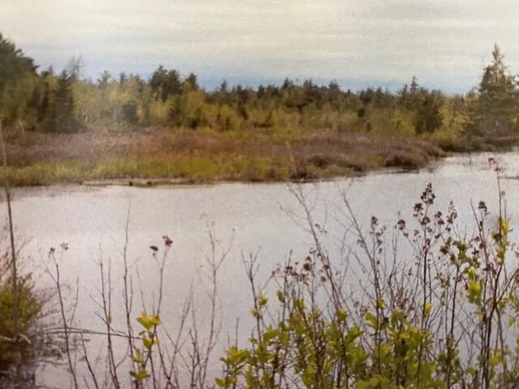 408 North Penobscot Road Penobscot ME 04476
