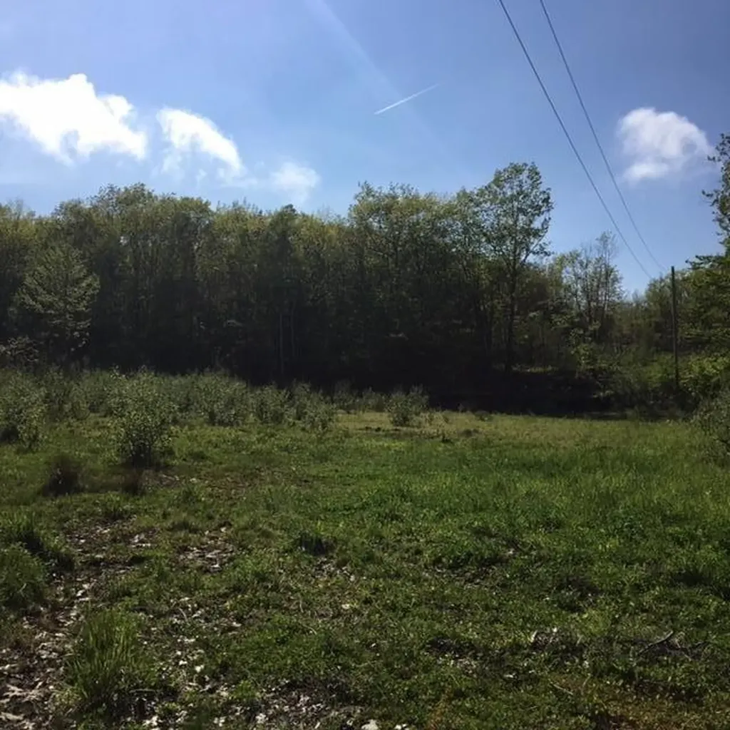 17 Bog Road Rockland ME 04841