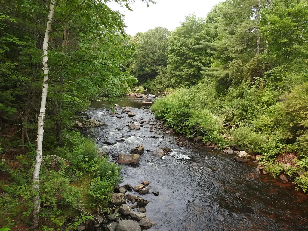 31 Allen Road West Paris ME 04289