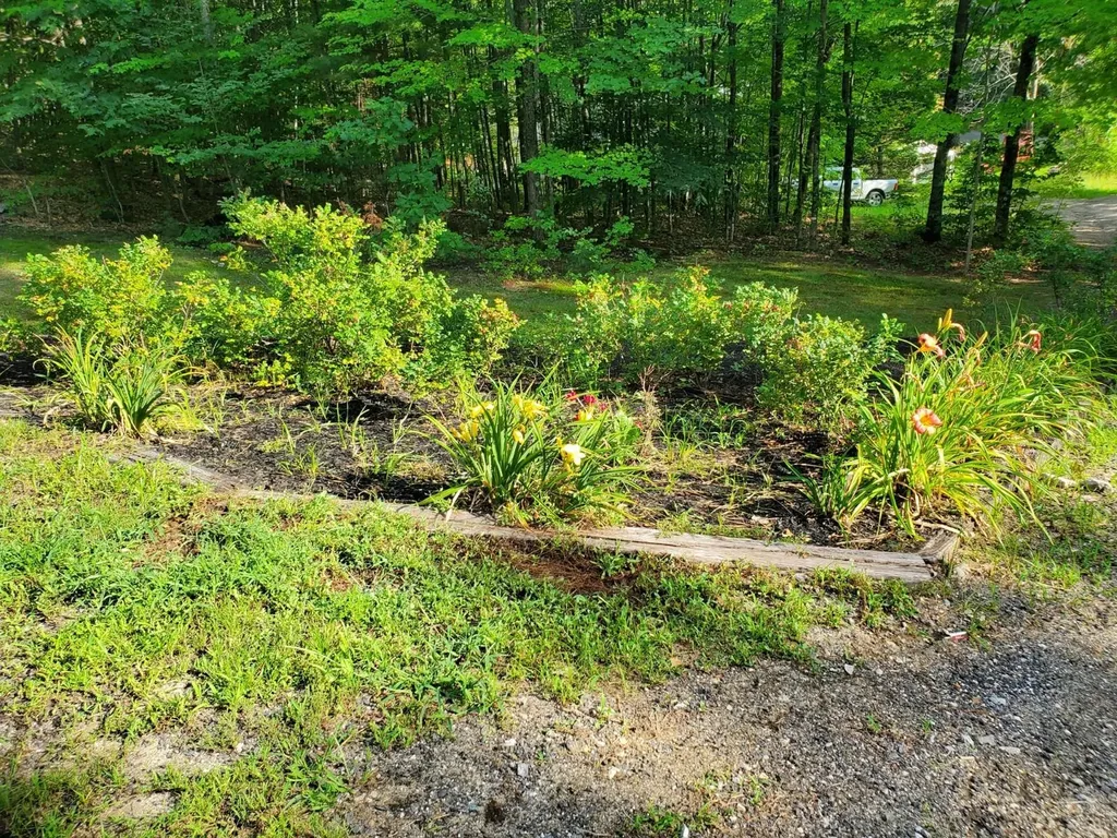 590 Bonney Road Sumner ME 04292