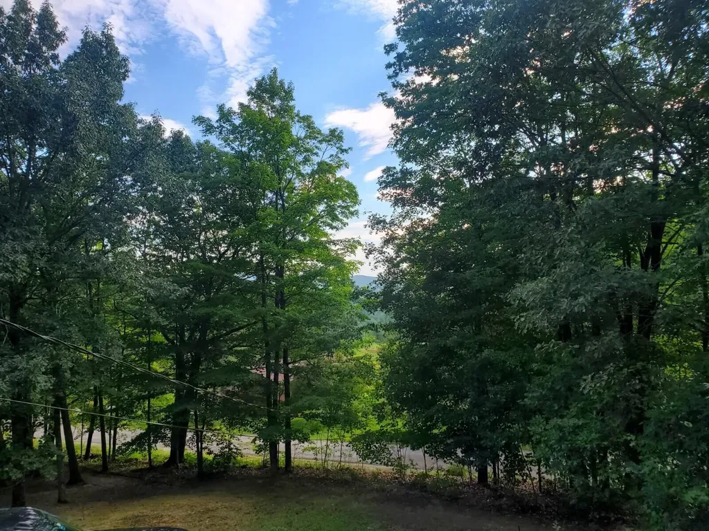 590 Bonney Road Sumner ME 04292