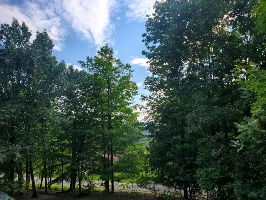 590 Bonney Road Sumner ME 04292