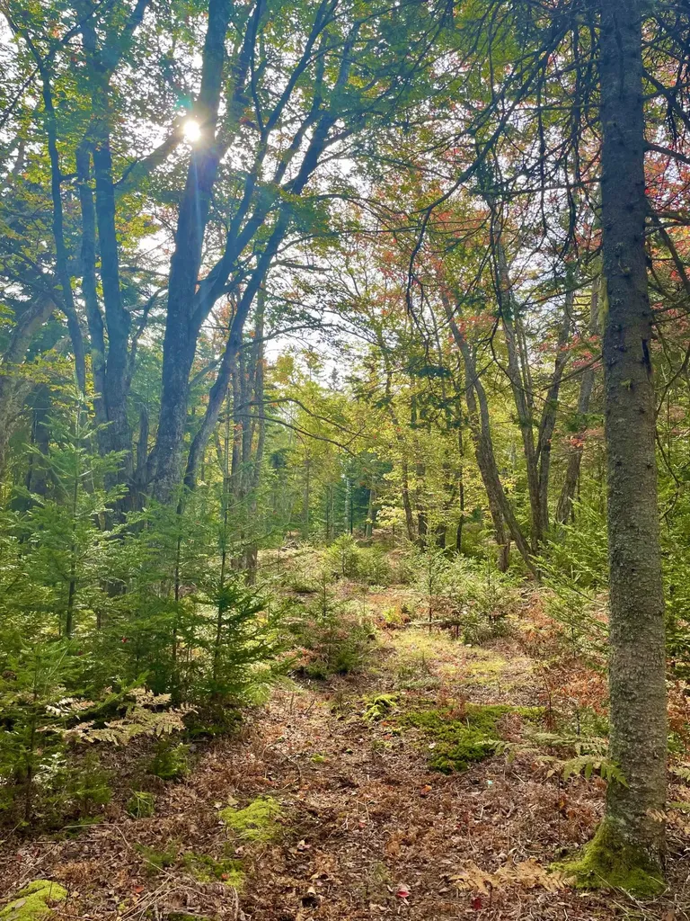 68 Macks Pond Road Vinalhaven ME 04863