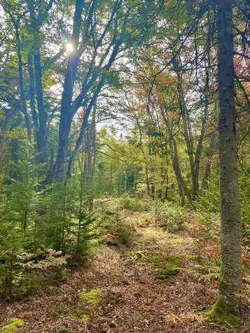 68 Macks Pond Road Vinalhaven ME 04863