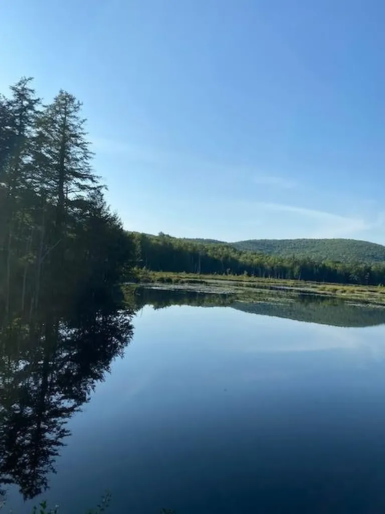 104 Drake Pond Road NW Jackson ME 04921