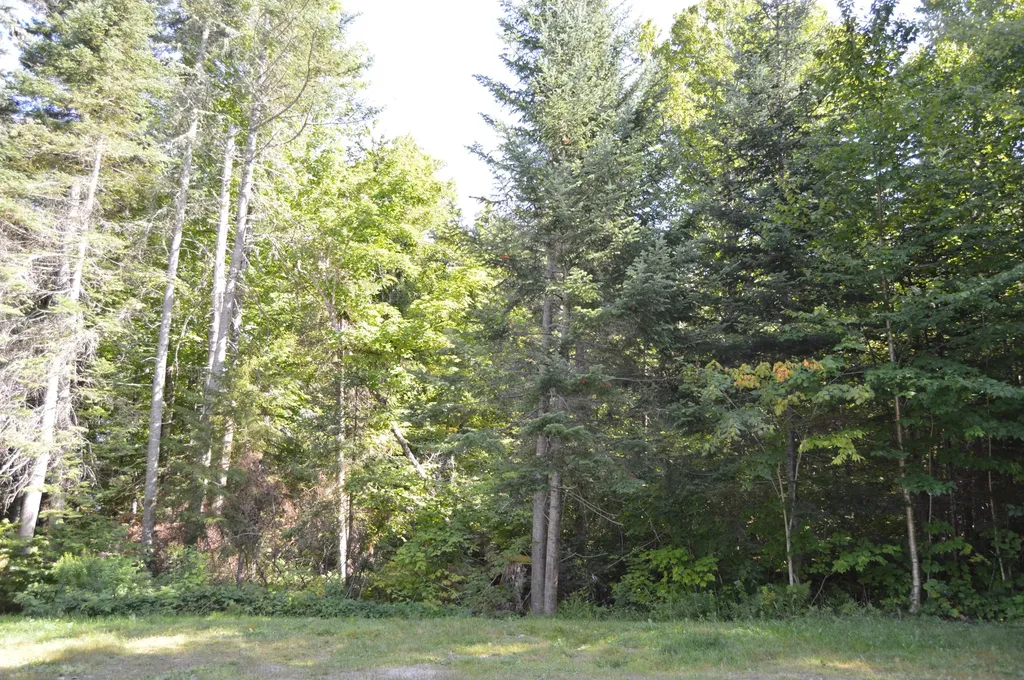 1466 Wilson Mills Road Adamstown Twp ME 04964