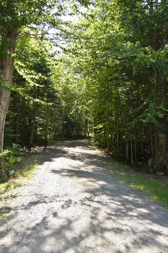 1466 Wilson Mills Road Adamstown Twp ME 04964