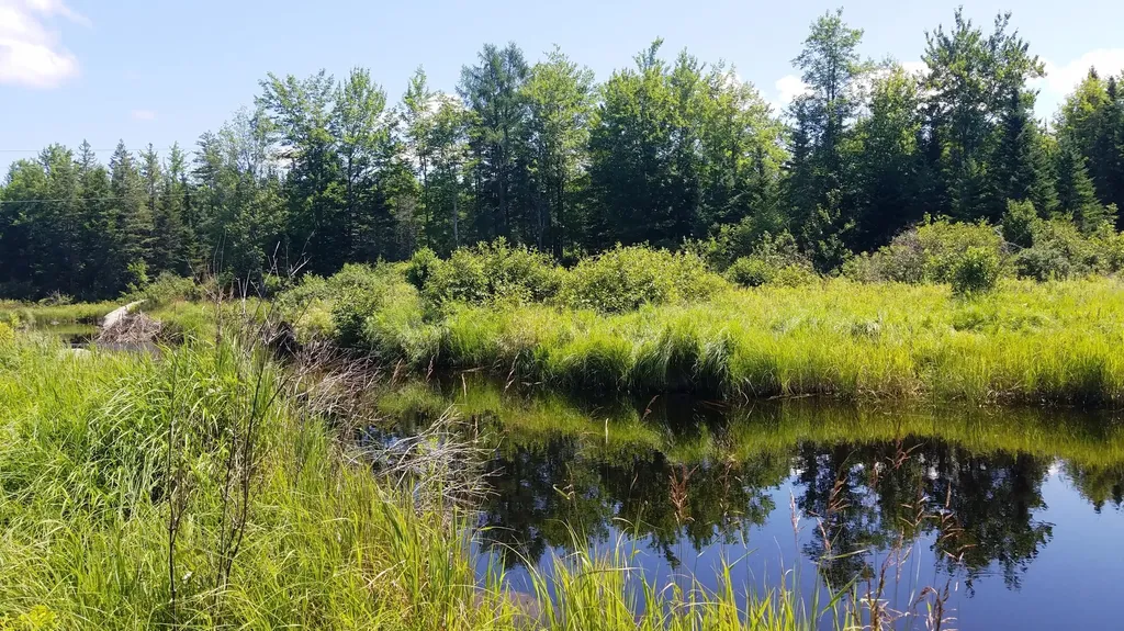 52 Woods Edge Lane Franklin ME 04634