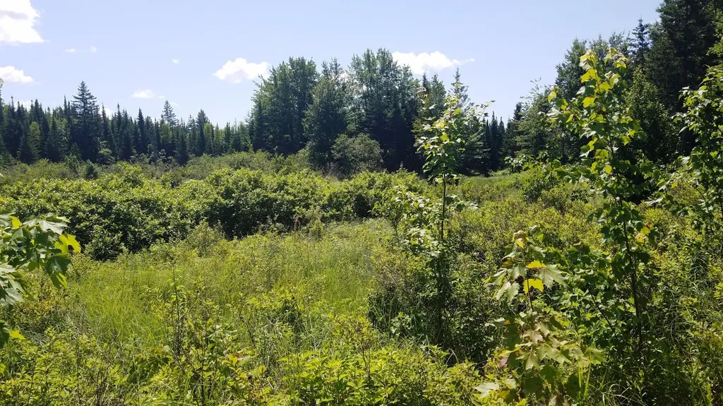 52 Woods Edge Lane Franklin ME 04634
