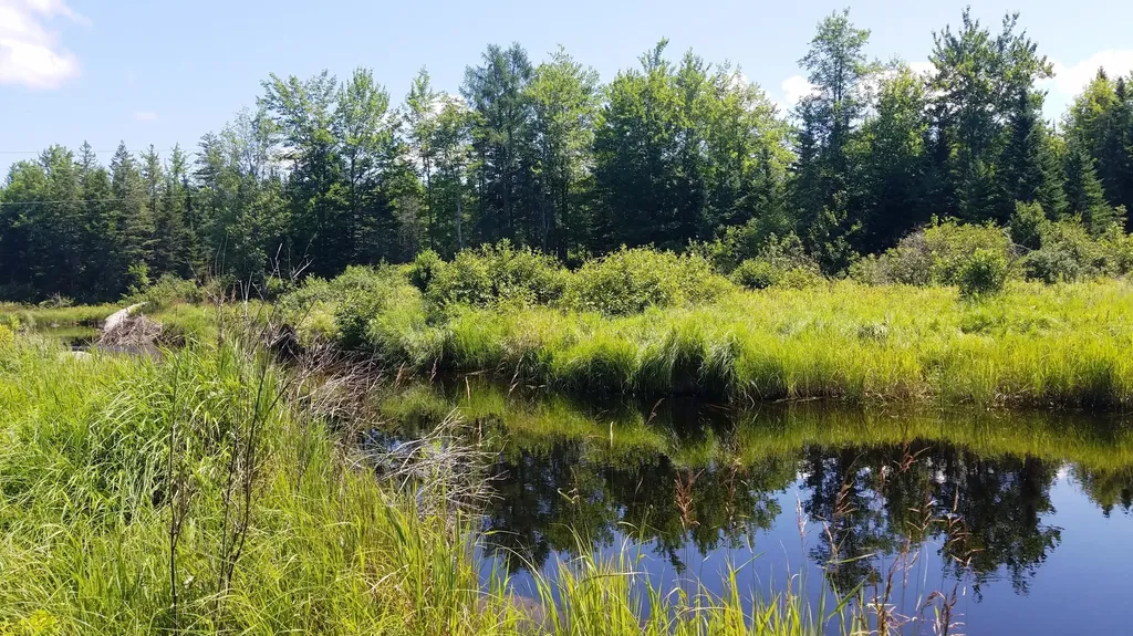 52 Woods Edge Lane Franklin ME 04634